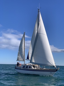 Seastream 34