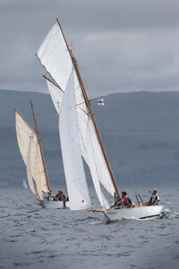 Seabird