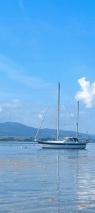 Finnsailer 38