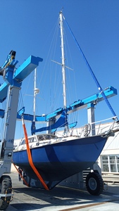 Evasion 32