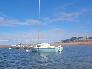 Sir 530