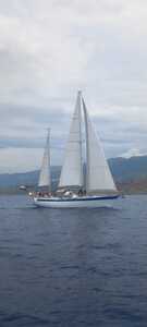 Amphitrite 43