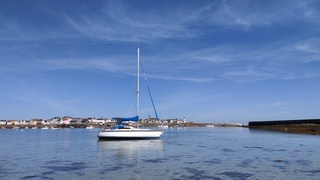 Kelt 29
