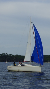 Maxus 21