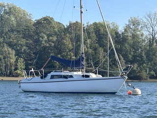Neptun 22