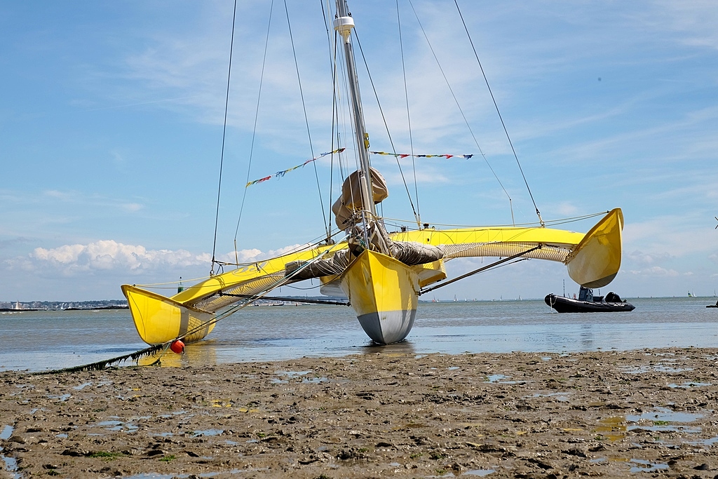 trimaran jaune