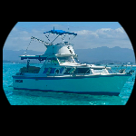 Alcyon Amerglass 32