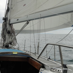 sylvinro22
