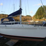 trimartolod